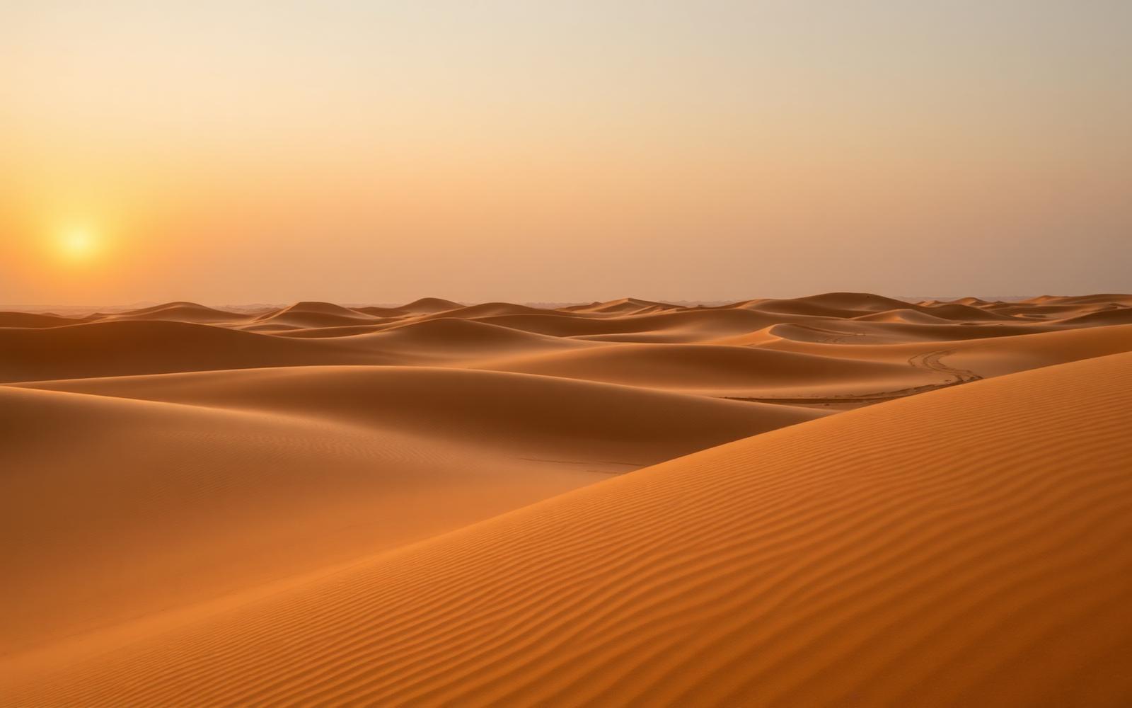 Dubai City & Desert Escape