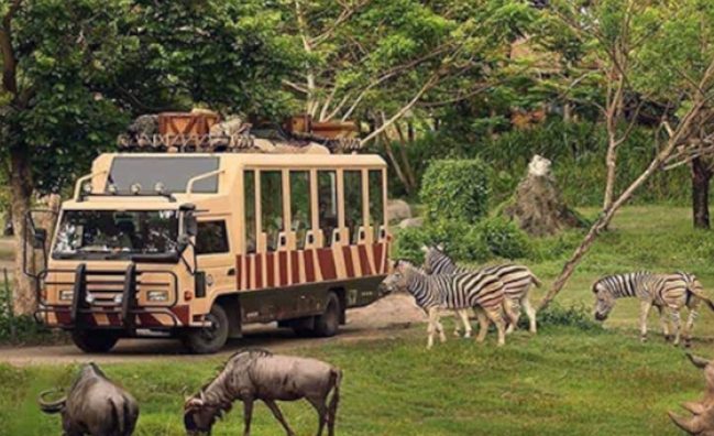 Dubai Safari Park Mixed
