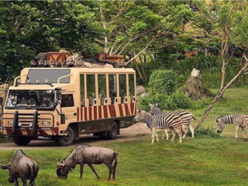 Dubai Safari Park Mixed