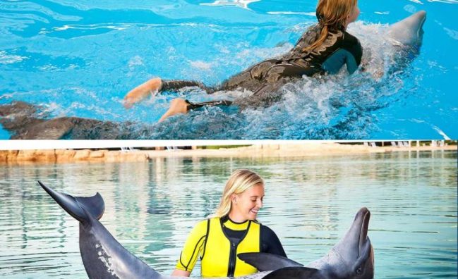 Dubai Dolphinarium Mixed