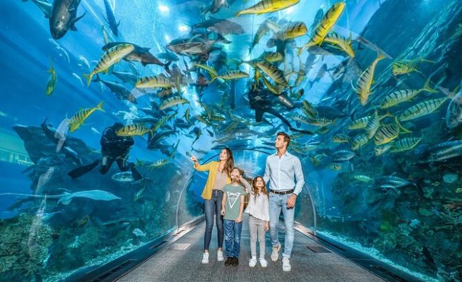 Dubai Aquarium Zoo