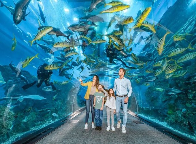 Dubai Aquarium Zoo