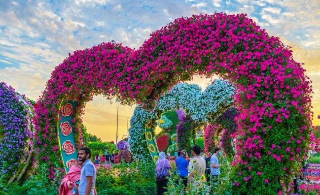 Miracle Garden