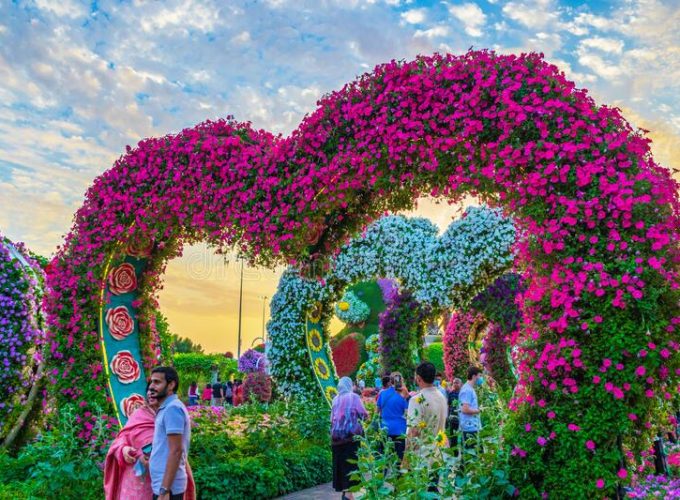 Miracle Garden