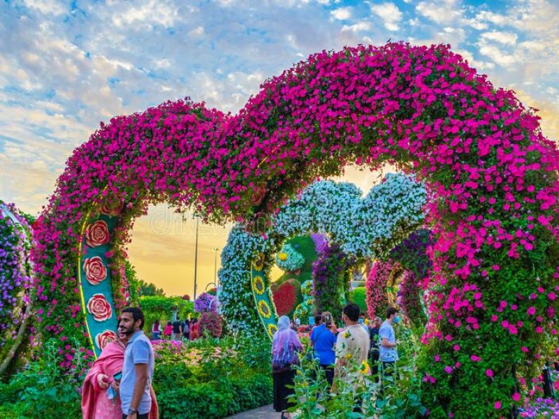 Miracle Garden Mixed