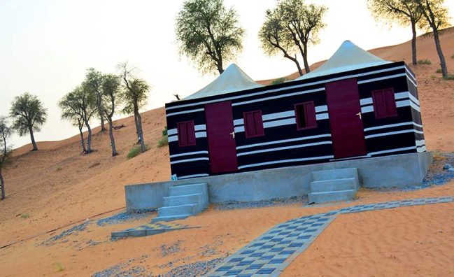 Desert Safari Ras Al Khaimah Mixed